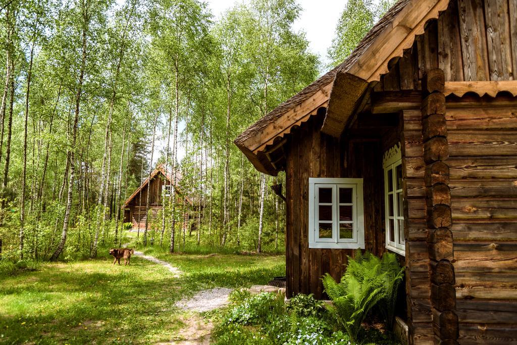 Vabalyne Guest House Vilkiskes Ngoại thất bức ảnh